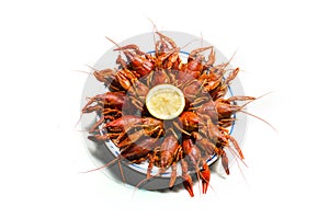 Crayfish on a plate with lemon on the white background