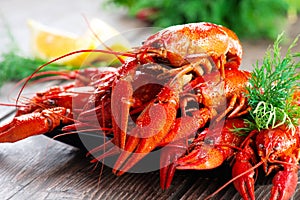 Crayfish. Red boiled crawfish on a wooden table