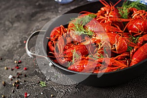 Crayfish. Red boiled crawfishes on table in rustic style, closeup.