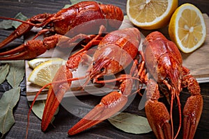 Crayfish. Red boiled crawfishes on table in rustic style, closeup. Lobster closeup.