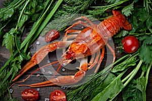 Crayfish. Red boiled crawfishes on table in rustic style, closeup. Lobster closeup.