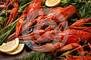 Crayfish. Red boiled crawfishes on table in rustic style, closeup. Lobster closeup.