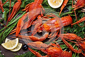 Crayfish. Red boiled crawfishes on table in rustic style, closeup. Lobster closeup.