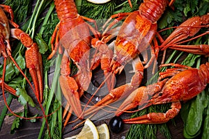 Crayfish. Red boiled crawfishes on table in rustic style, closeup. Lobster closeup.