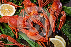 Crayfish. Red boiled crawfishes on table in rustic style, closeup. Lobster closeup.