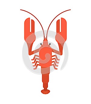 Crayfish red isolated. Marine crustacean Delicacy. Vector illustration