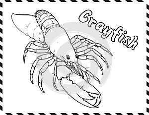 Crayfish In Sea Coloring Pages Drawing For Kids