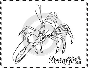 Crayfish In Sea Coloring Pages Drawing For Kids