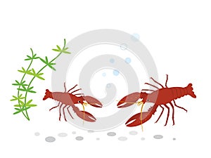 Crayfish set