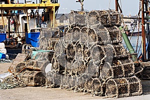 Crayfish traps in harbor