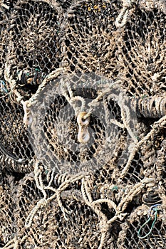 Crayfish traps in harbor