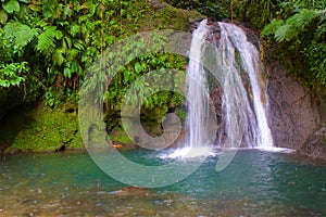 Crayfish waterfall in Guadeloupe, Caribbean