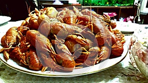 Crayfish, yummy, the most delicious food photo