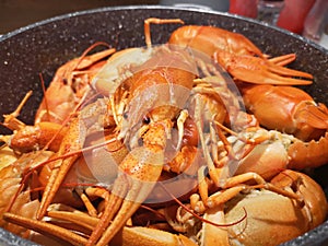 Crayfishes photo