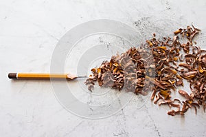Crayon and sheaf of sawdust on white background with graphitic dust
