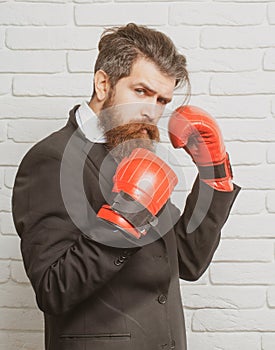 Crazy business man, conflict and fight concept. Businessman ready to fight with boxing gloves.