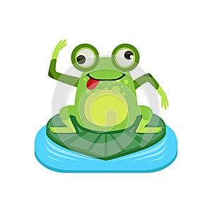 Crazy Cartoon Frog Character