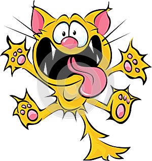Crazy cat cartoon photo