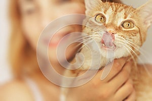 Crazy cat licks nose