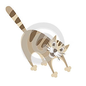 Crazy cat vector illustration style Flat
