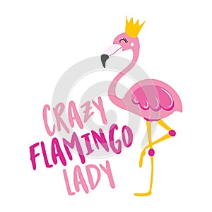 Crazy flamingo lady - Motivational quotes.