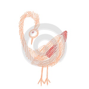 Crazy funny bird looking down and stay in pink and orange colours in doodles hand drawn style.