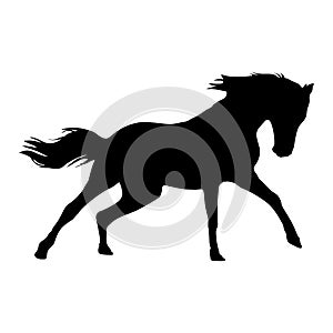 Crazy horse silhouette illustrator