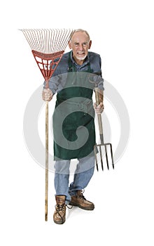 Crazy old gardener with fork and rake