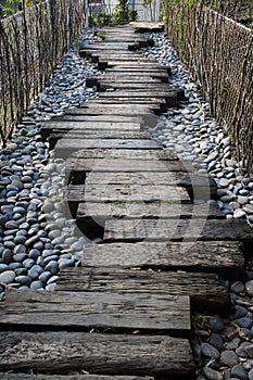 Crazy Path in Life photo