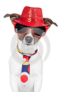 Crazy silly funny dog hat glasses tie