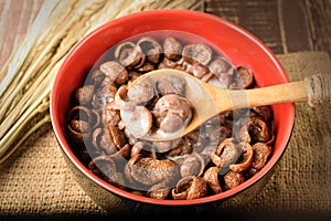 Creal choco in bowl closeup