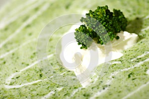 Krém z brokolica 