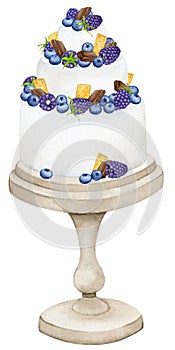 Cream cake decorated with berries and chocolate on a stand. Watercolor holiday clipart