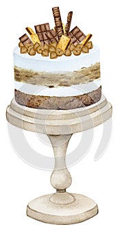 Cream cake decorated with chocolate, nuts and cookies on a stand. Watercolor holiday clipart