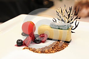 Cream Caramael dessert with berries photo