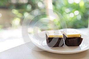 cream cheese brownie with green bokeh background, selective focus