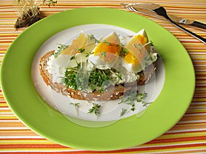Cream cheese, egg and cress on bread
