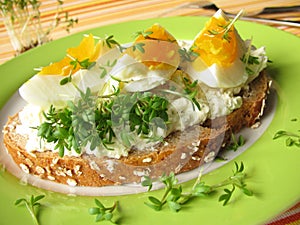 Cream cheese, egg and cress on bread