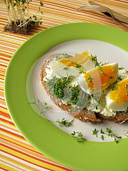 Cream cheese, egg and cress on bread