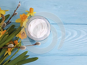 Cream cosmetic treatment yellow flowers blue wooden background daffodil, fluffy willow, spring