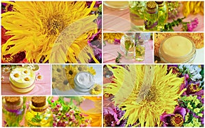 Cream cosmetic, wild flowers plant , bouquet of autumn flowers collage