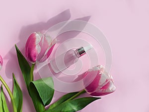 Cream cosmetics flower aroma product  composition    tulip on colored background