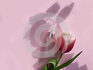 Cream cosmetics flower aroma tulip on colored background