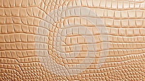 Cream crocodile leather texture.