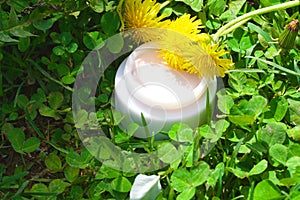 Cream with dandelion blossoms extract