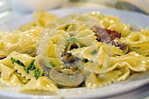 Cream Pasta