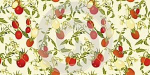 Cream pattern with tomatoe and plant.