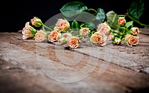 Cream pink roses with leaves on wooden background