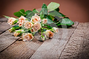 Cream pink roses on wooden background