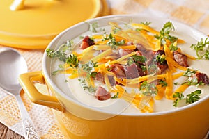 Cream potato soup with bacon and cheddar cheese close-up. horizontal